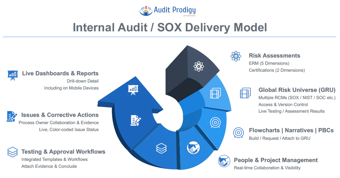 screenshot of Audit Prodigy